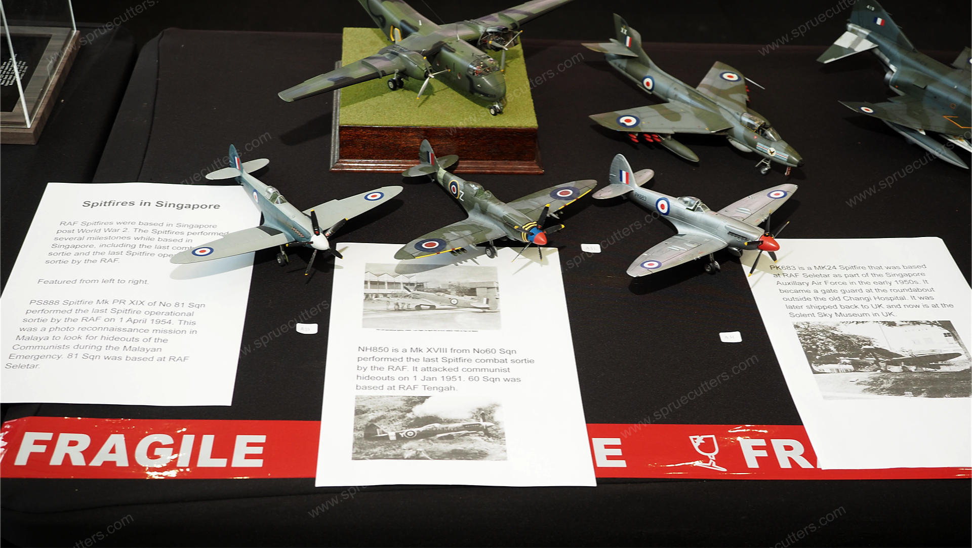 Military Hobby Fest 2024