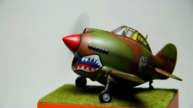 P-40 Warhawk Egg Plane